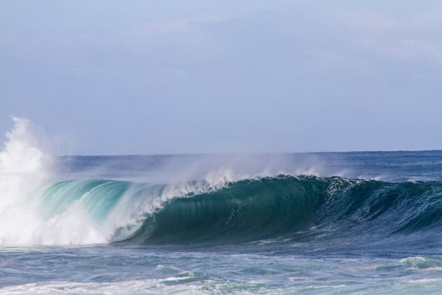 What is Wave Season in the Cruise Industry?