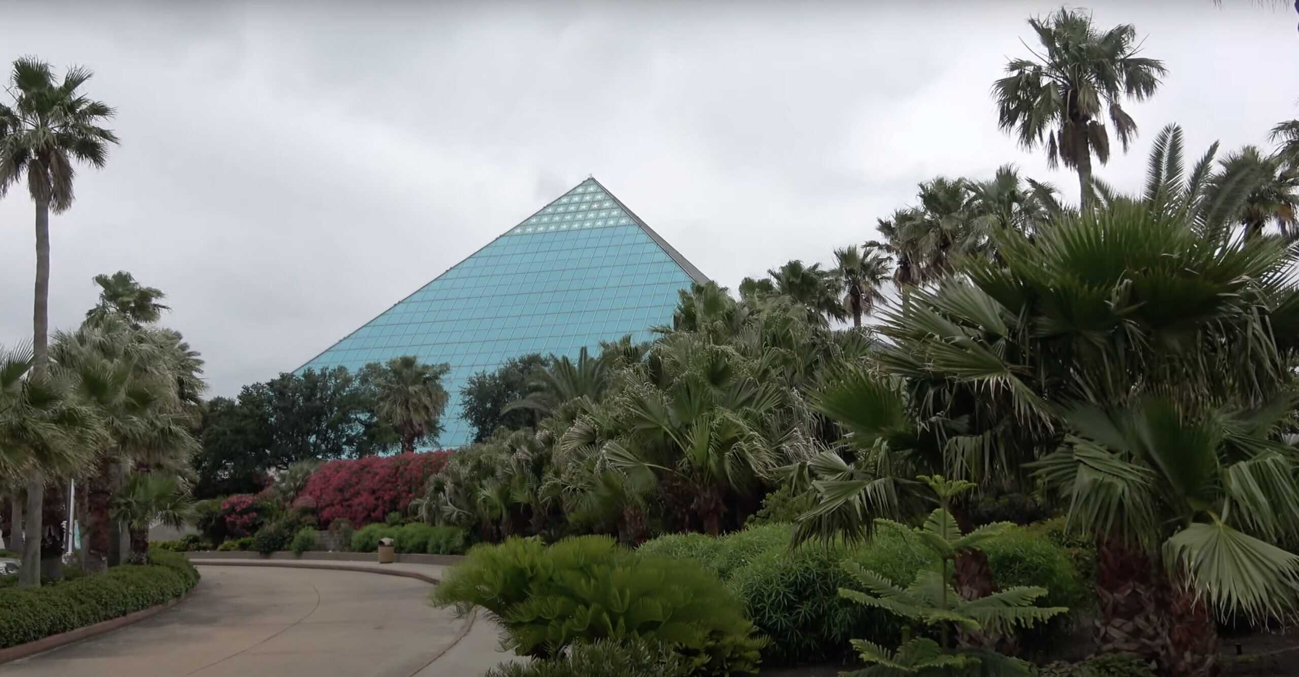 Glass blue pyramid building near trees