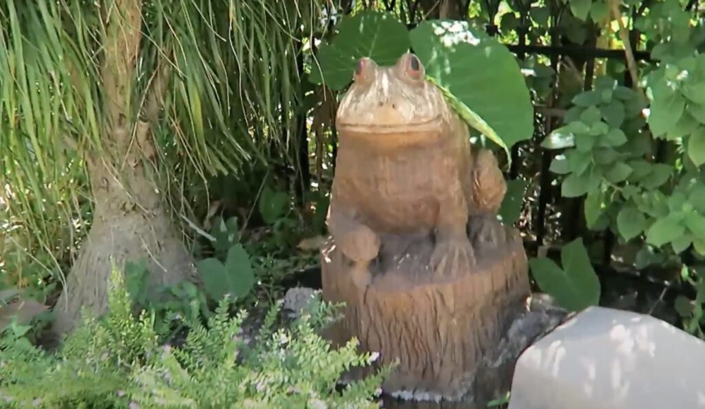 Wooden frog sculpture carved from a tree stump in Galveston, Texas, a quirky outdoor attraction often spotted while exploring local gardens and hidden gems near cruise ports.