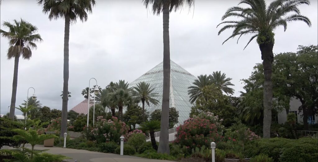 Clear glass pyramid building near palm trees