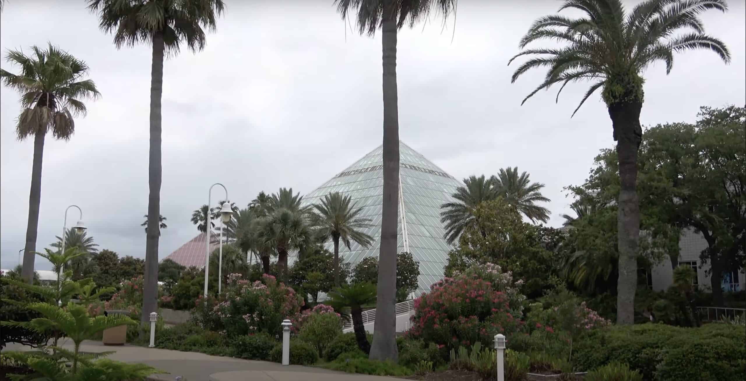 Clear glass pyramid building near palm trees