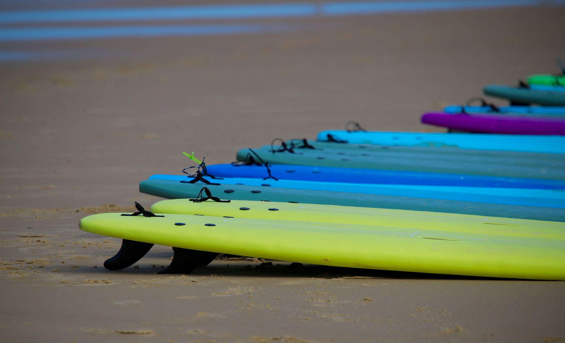 multicolored surf boards on the beach