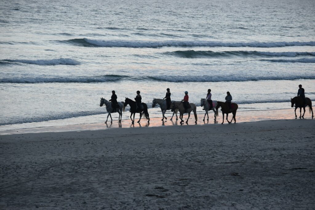 horseback riding along the beach