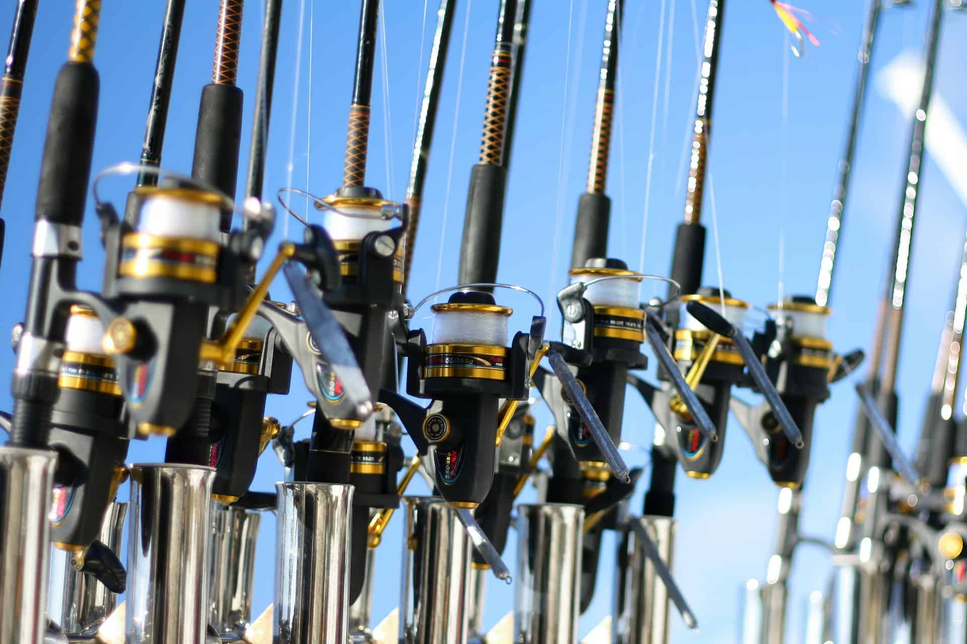 Rod and reels