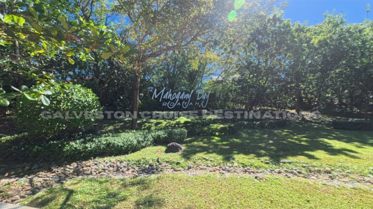 Mahogany Bay Roatán, Honduras Cruise Port: What to Expect