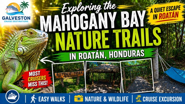 Exploring Isla Tropicale Mahogany Bay Nature Trails Galveston Cruise Destinations